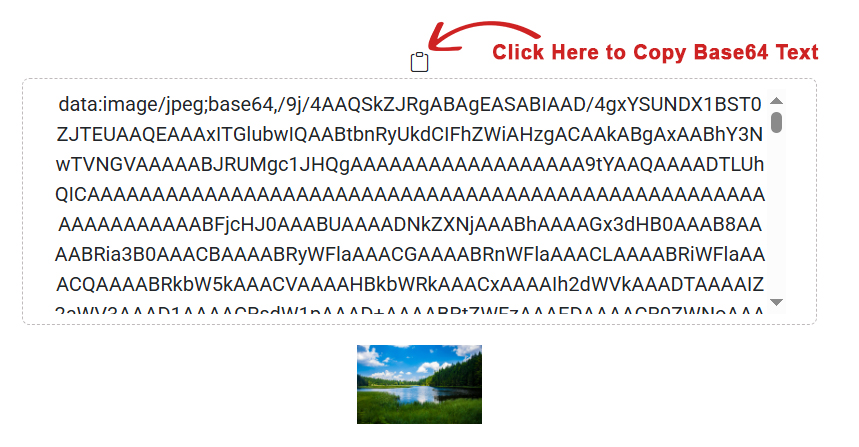 Base64 Output Text Copy